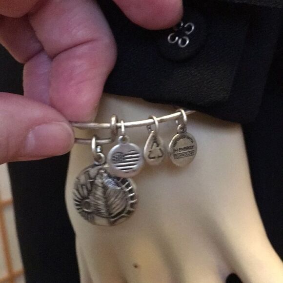 Alex And Ani BIRCH silver bangle 2016 - Picture 1 of 8